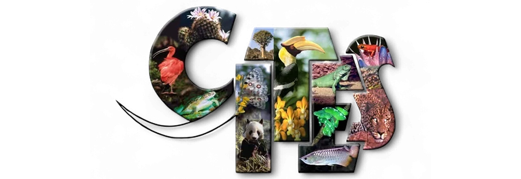 CITES logo illustrated with wildlife and plants