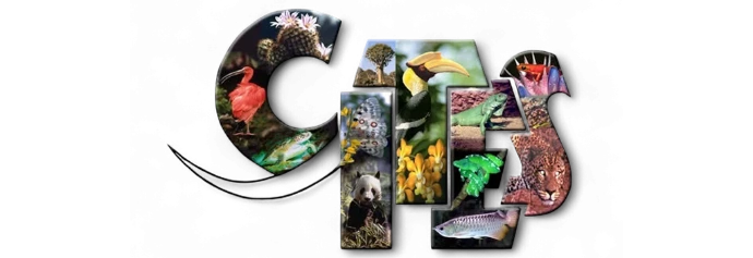 Logo CITES illustrato con animali e piante